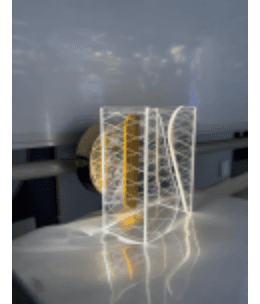 Crystal Swirl Acrylic Wall Sconce photo 1