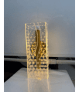 Gold Bubble Column Wall Sconce photo 1