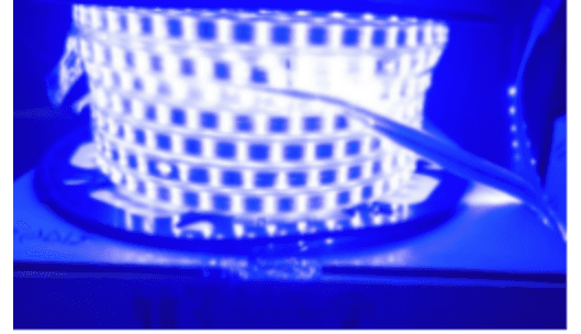 LED Strip / Rope Light -2LINE- 11MM-BLUE photo 1